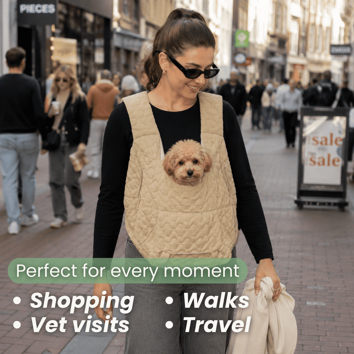 Front-Carry Pet Carrier for Small Dogs & Cats – CarrySelect™