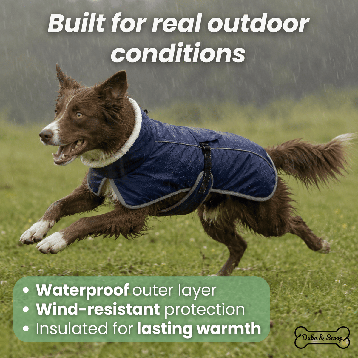 Warm Reflective Dog Winter Coat – FrostView™