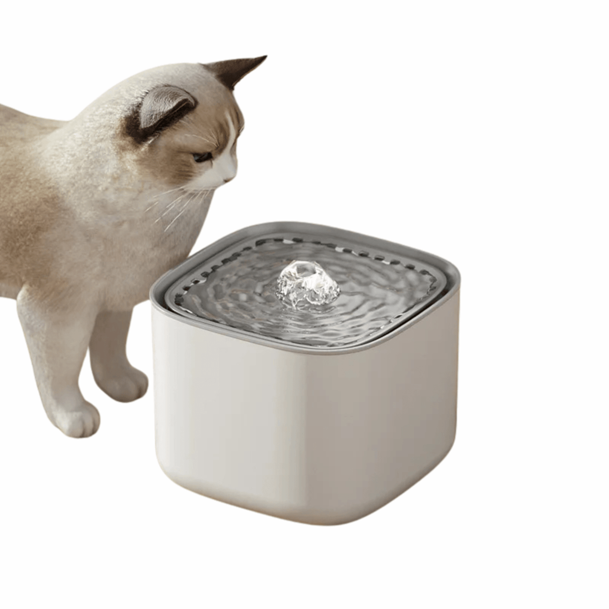 3L Automatic Cat Water Fountain – QuenchPath™