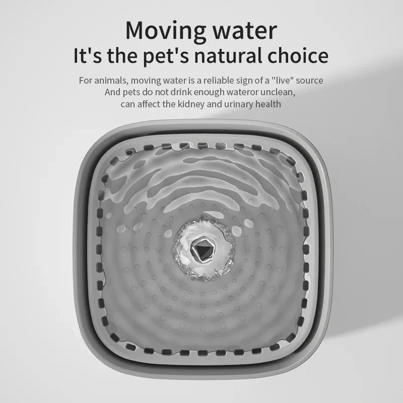 3L Automatic Cat Water Fountain – QuenchPath™