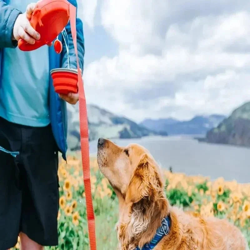 4-in-1 Multifunctional Dog Leash – HydrateCore™