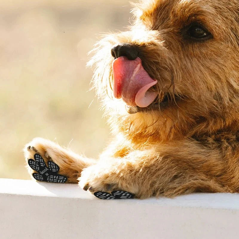 Anti-Slip Paw Protectors for Dogs – ReadyWorks™