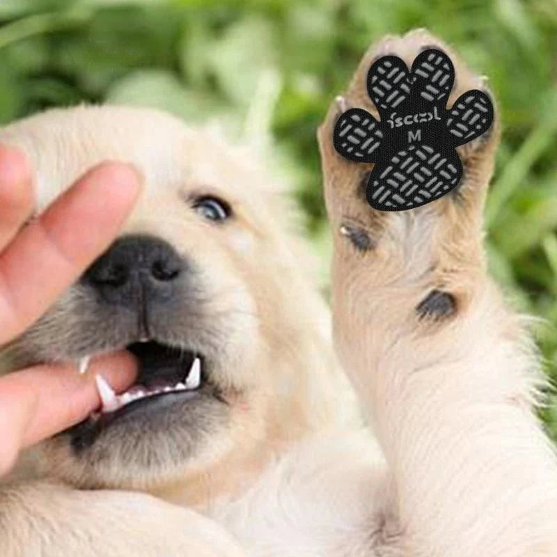 Anti-Slip Paw Protectors for Dogs – ReadyWorks™