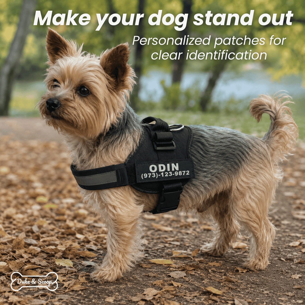 Custom Hook-and-Loop Dog Harness Name Patch – LeadEssentials™