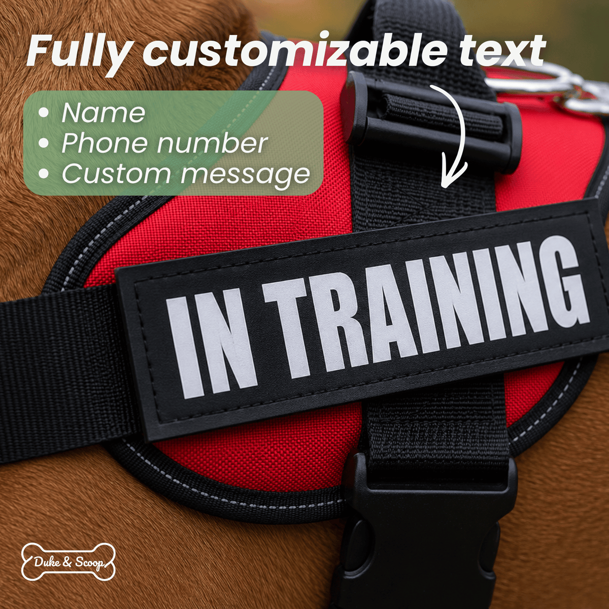 Custom Hook-and-Loop Dog Harness Name Patch – LeadEssentials™