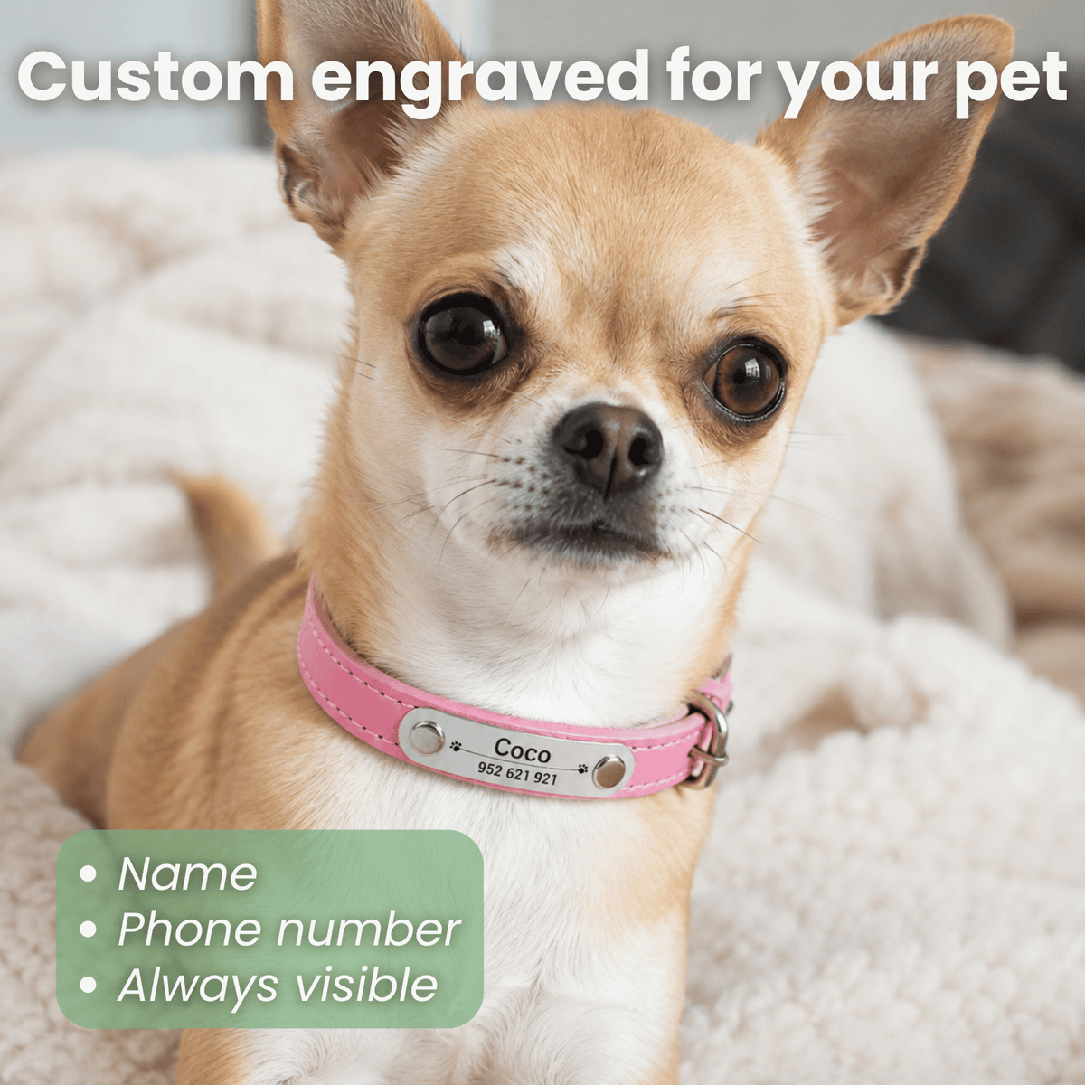 Personalised Stainless Steel Nameplate Pet Collar – ControlAdventure™
