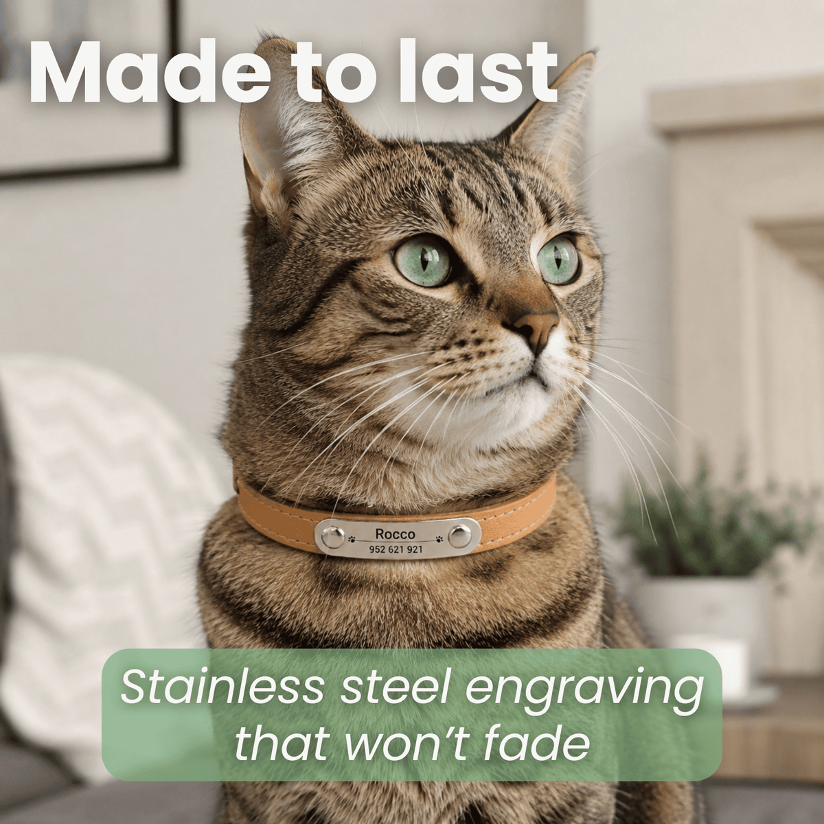 Personalised Stainless Steel Nameplate Pet Collar – ControlAdventure™