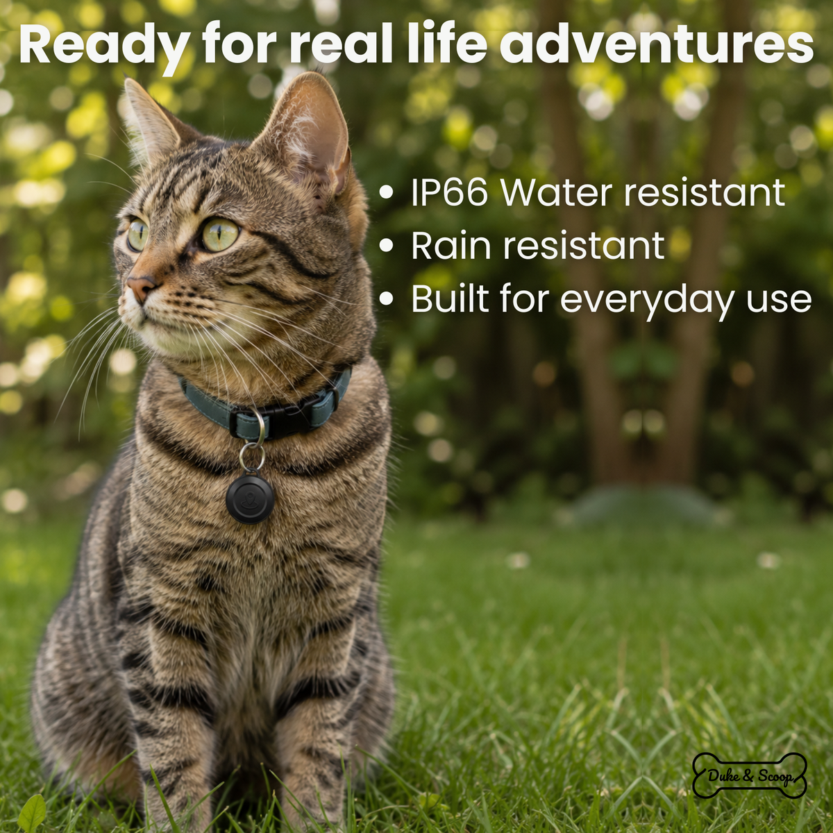 Apple Find My Bluetooth Pet Tracker – LocatePath™