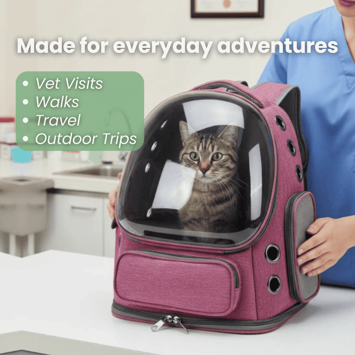 Transparent Cat Carrier Backpack – TransitElite™