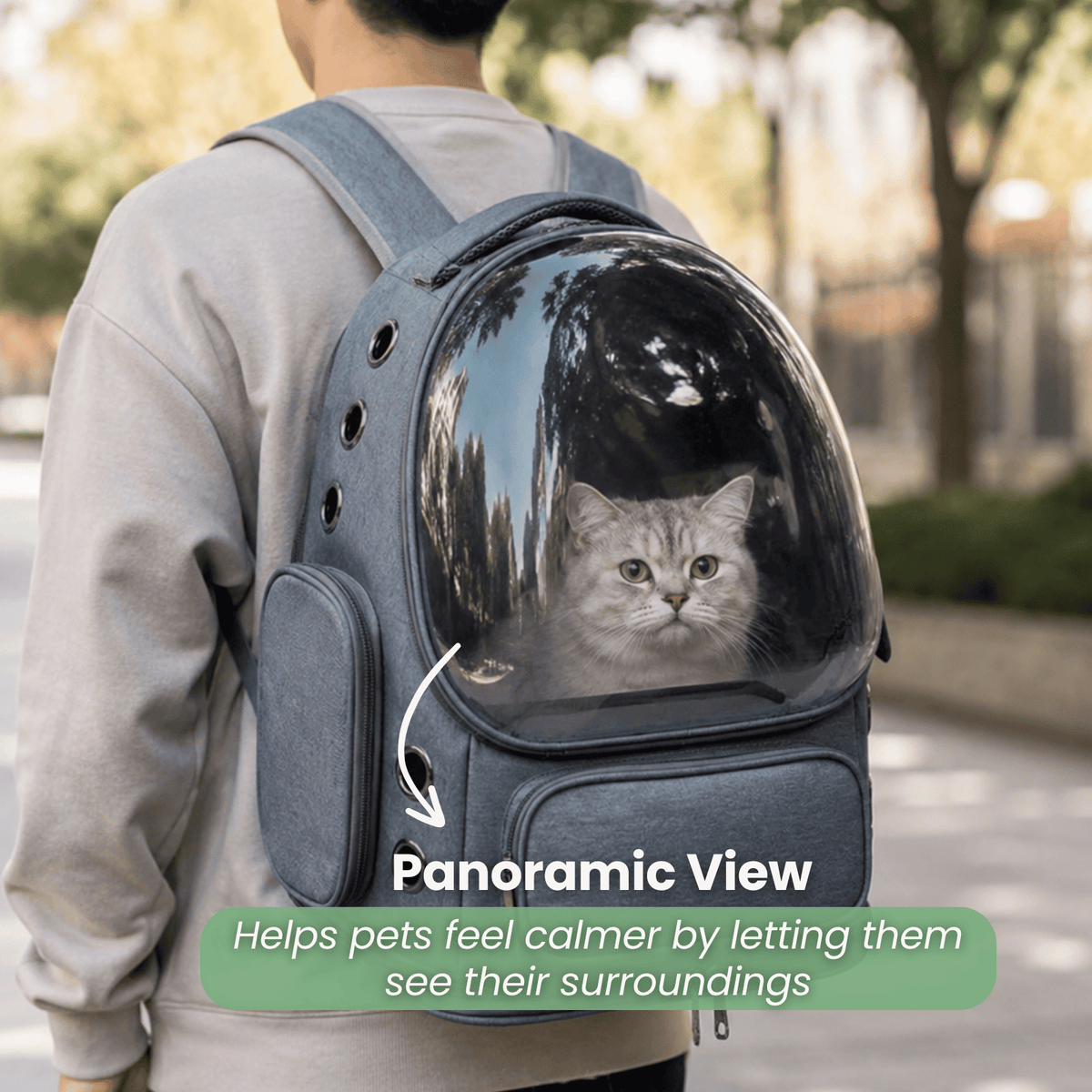 Transparent Cat Carrier Backpack – TransitElite™