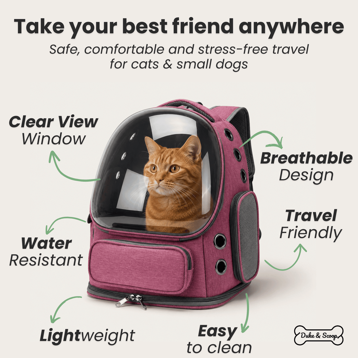Transparent Cat Carrier Backpack – TransitElite™