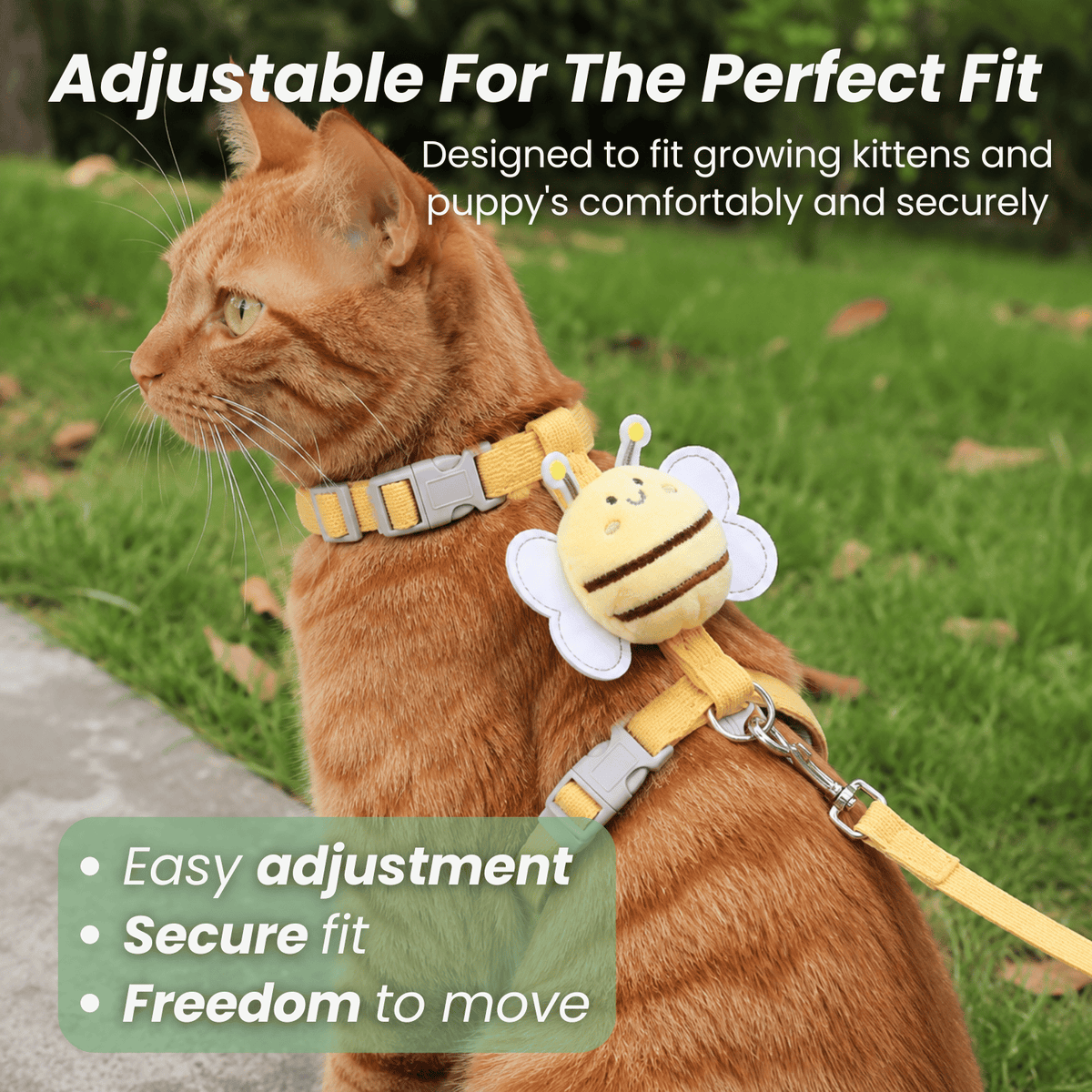 Adjustable Pet Harness & Leash Set – WalkStyle™