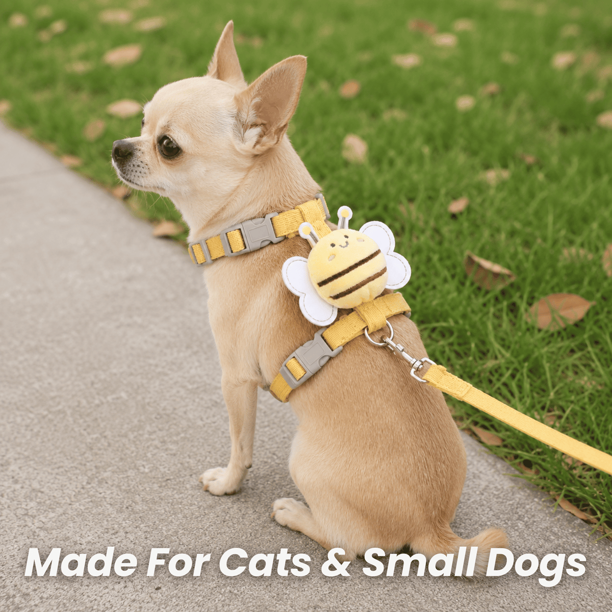 Adjustable Pet Harness & Leash Set – WalkStyle™
