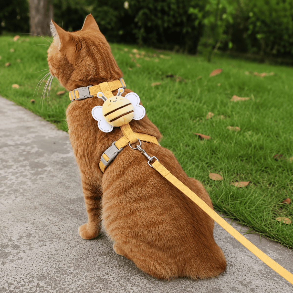 Adjustable Pet Harness & Leash Set – WalkStyle™