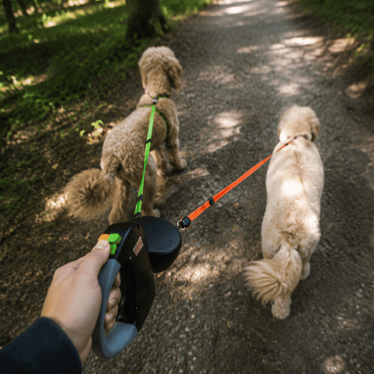 Double Retractable Dog Leash – StridePure™