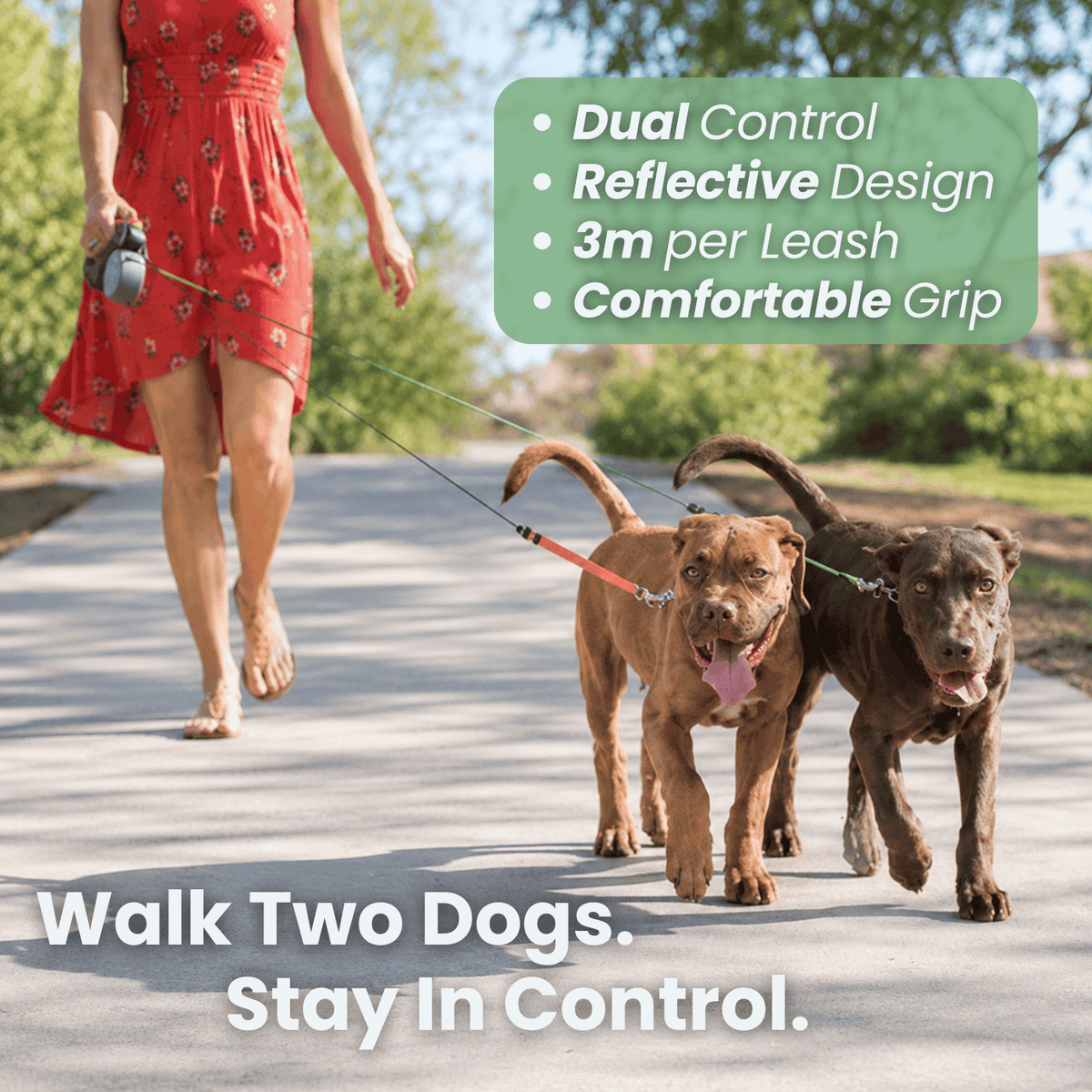 Double Retractable Dog Leash – StridePure™