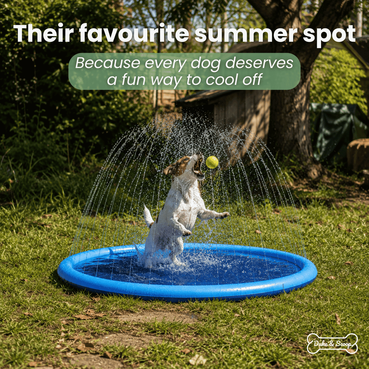 Dog Splash Pad – 150cm or 170cm – PetFit™