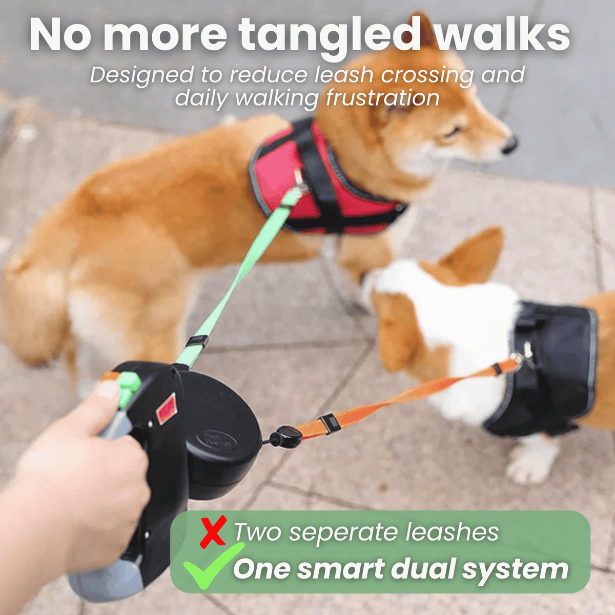 Double Retractable Dog Leash – StridePure™