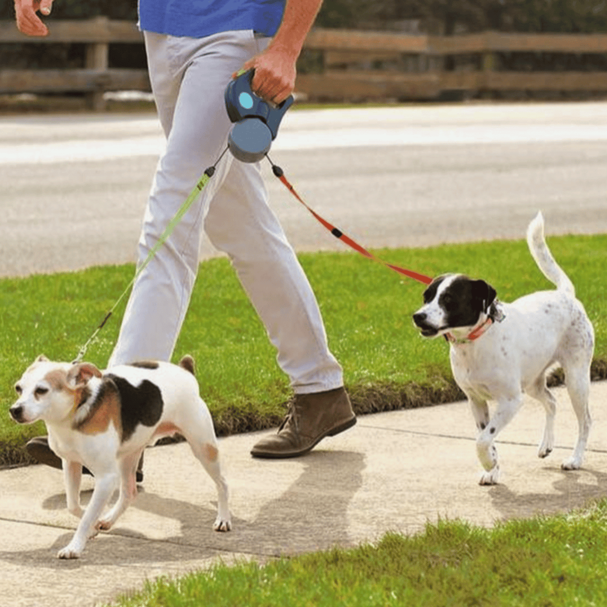 Double Retractable Dog Leash – StridePure™