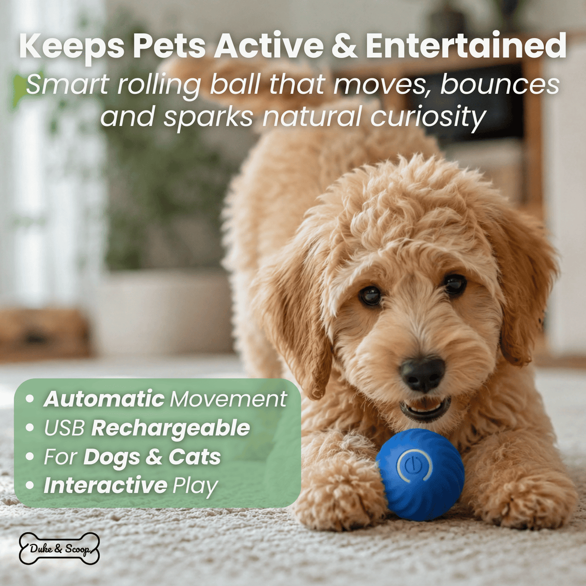 Interactive Smart Pet Ball for Dogs & Cats – FetchPure™