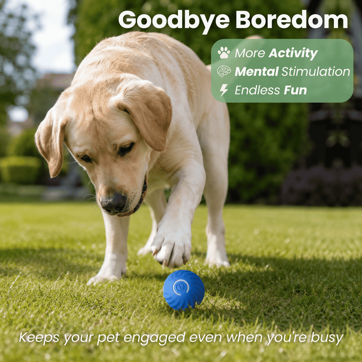 Interactive Smart Pet Ball for Dogs & Cats – FetchPure™
