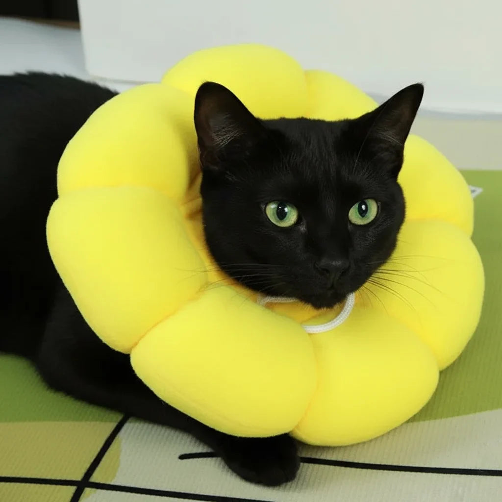 Soft Post-Surgery Collar for Dogs & Cats – PawFlex™