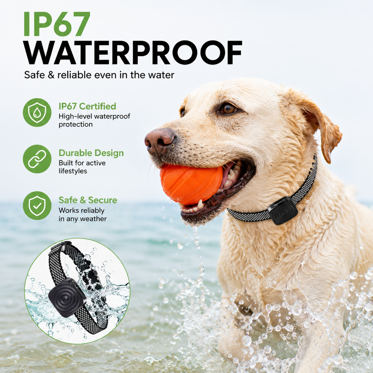 Rechargeable Ultrasonic Anti-Bark Training Device – RouteGlow™