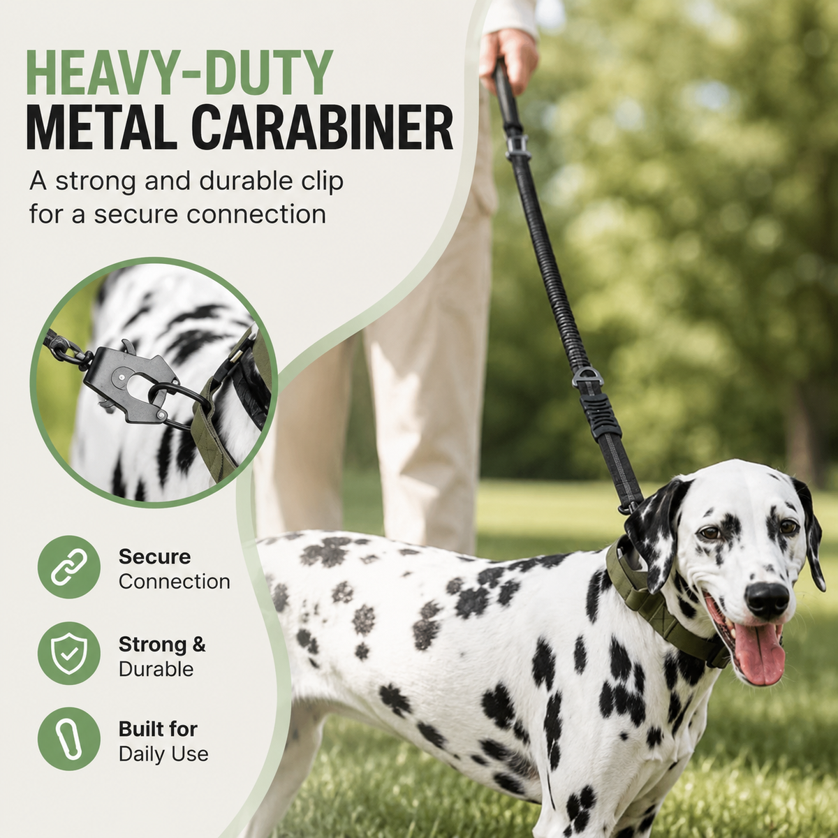 Reflective Bungee Dog Leash with Car Seat Belt Clip – CarPaws™