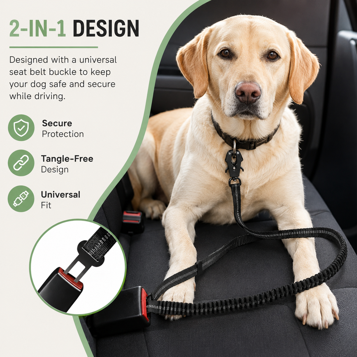 Reflective Bungee Dog Leash with Car Seat Belt Clip – CarPaws™