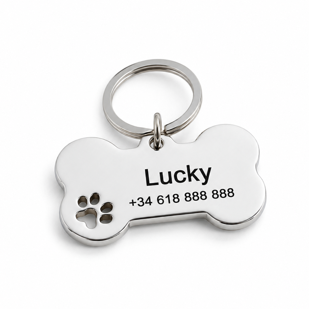 Personalised Stainless Steel Pet ID Tag for Dogs – GuardFresh™