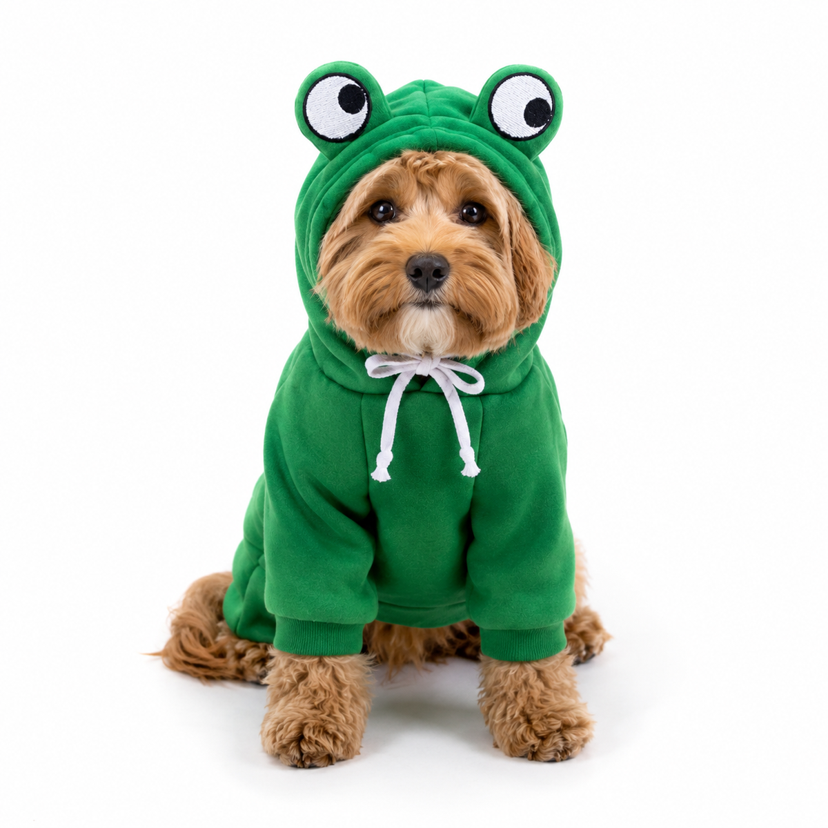 Tailented ThermoWise™ – Warm Pet Hoodie for Dogs