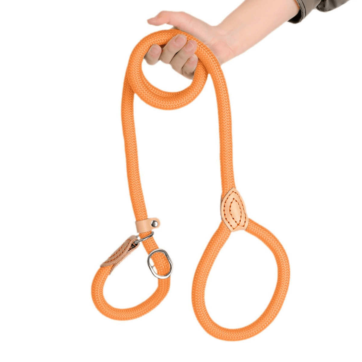 Heavy-Duty Adjustable Slip Lead for Medium & Large Dogs – StrideGlow™