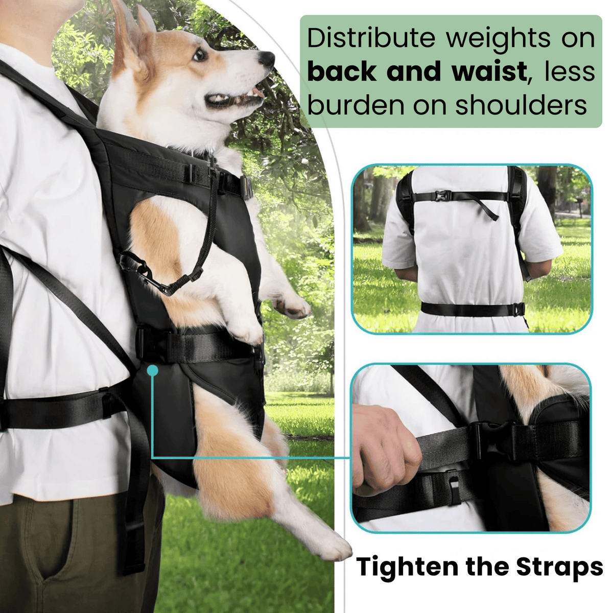 Tailented TrekDaily™ – Pet Car Seat & Cargo Protection Cover for Dogs & Cats