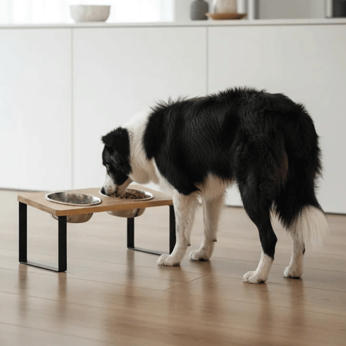 Tailented NourishSphere™ – Raised Pet Food Bowl for Cats