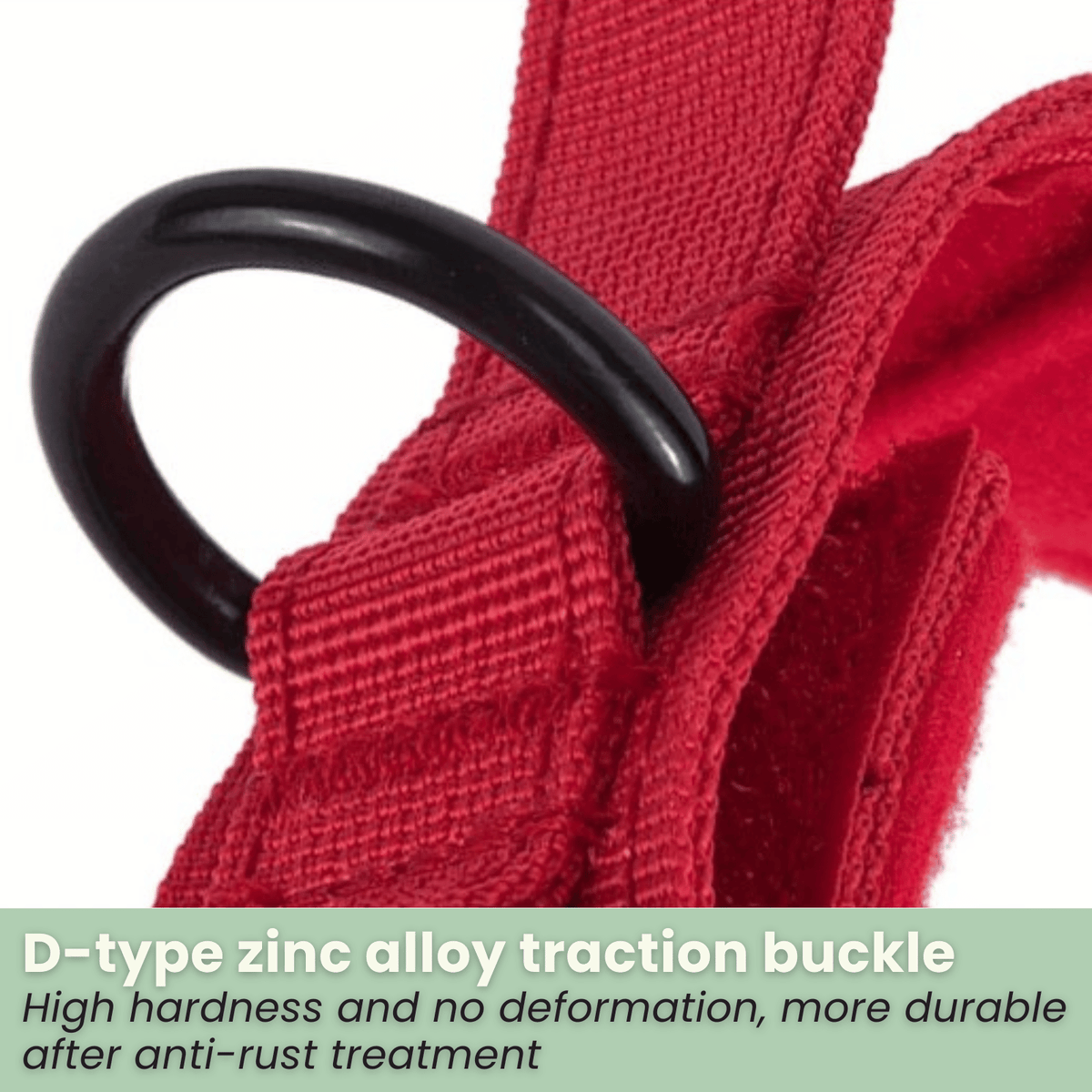 Nylon Adjustable Dog Collar – MotionPath™