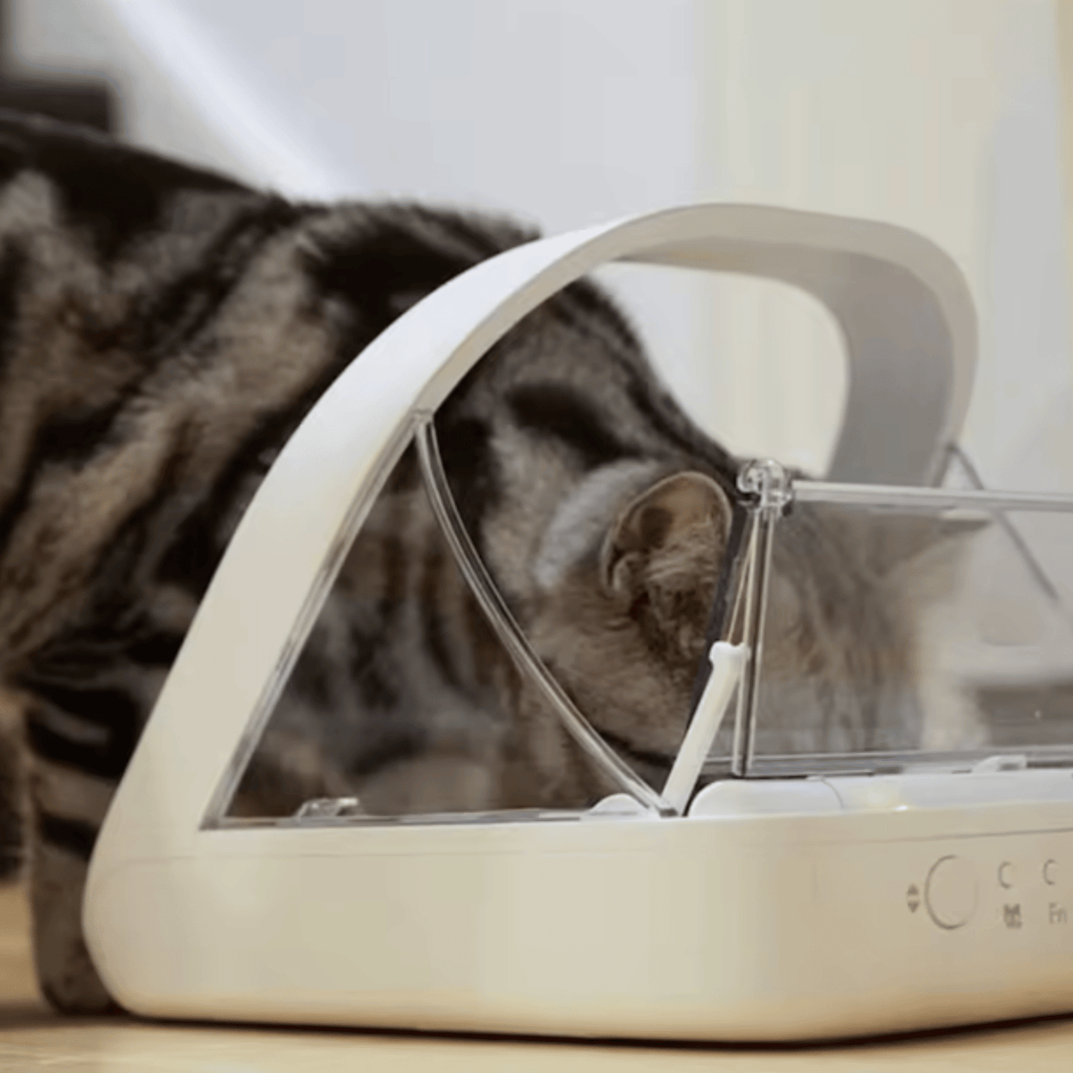 Automatic Microchip Pet Feeder for Cats & Dogs – BowlNest™