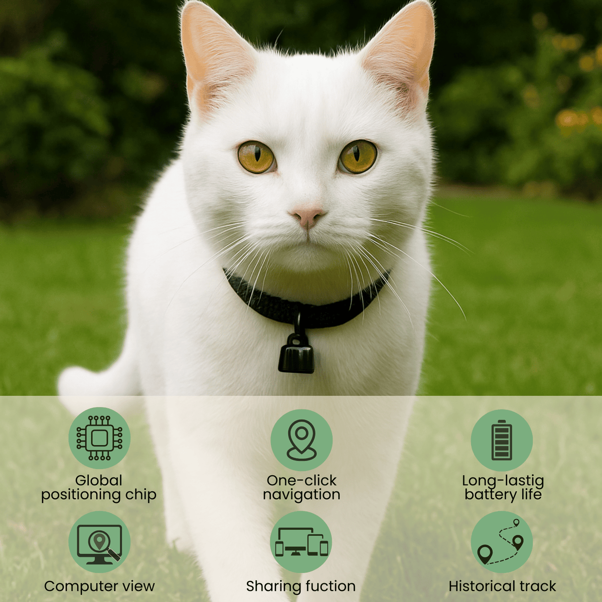 Bluetooth Pet Tracker with Adjustable Collar – BeaconFlow™