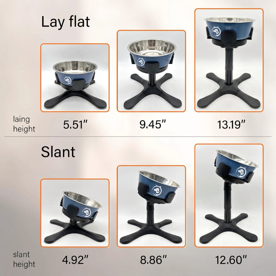 Adjustable Raised Dog Food Bowl Stand – ServeAdventure™