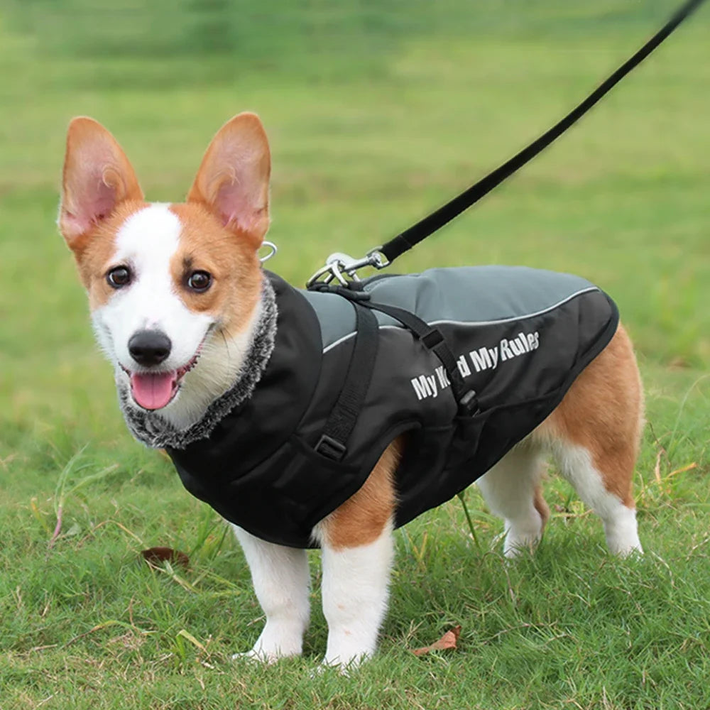 Warm Waterproof Dog Coat with Harness – WeatherLink™