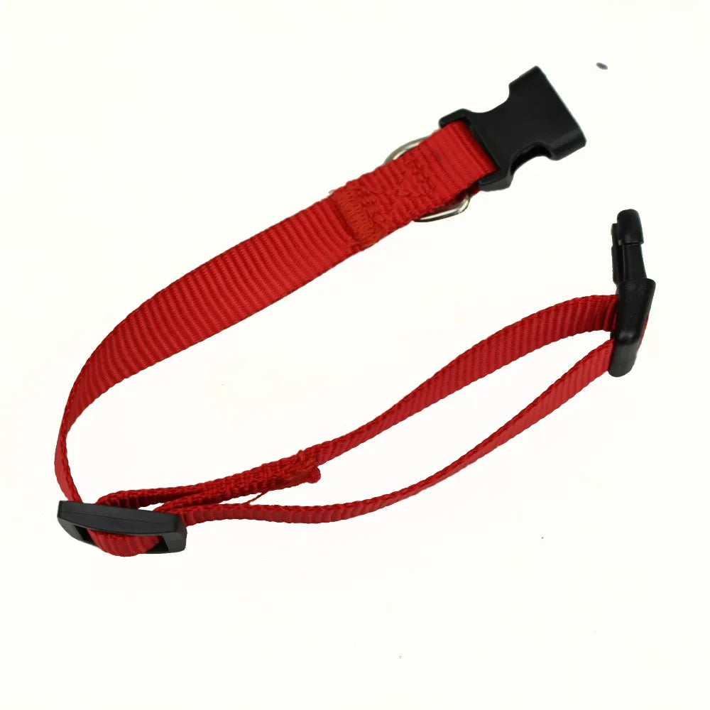 Nylon Adjustable Dog & Cat Collar – PawSphere™