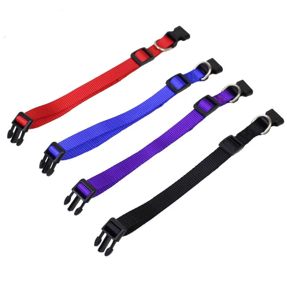 Nylon Adjustable Dog & Cat Collar – PawSphere™