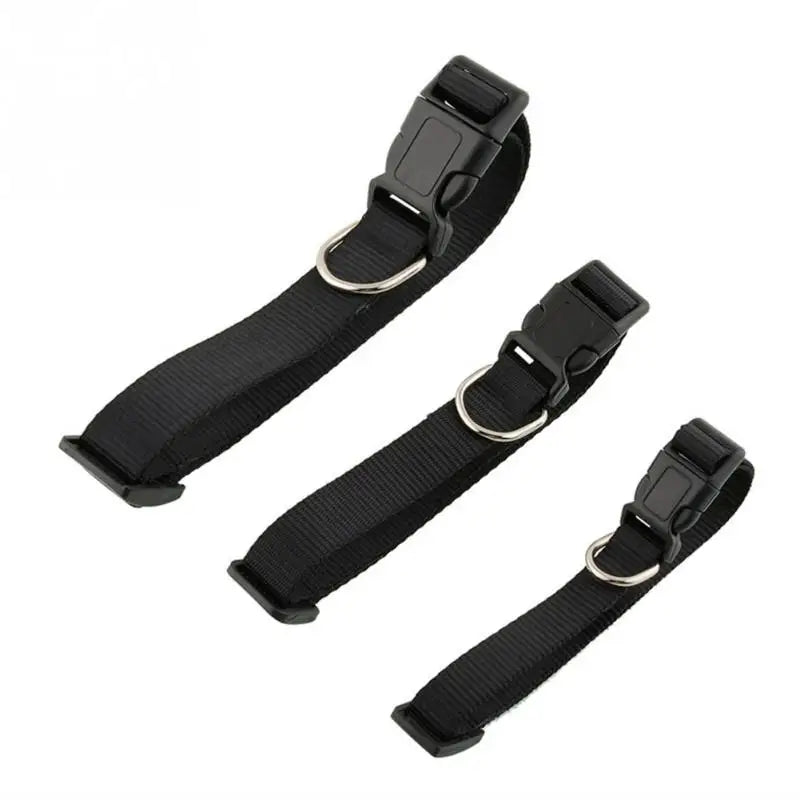 Nylon Adjustable Dog & Cat Collar – PawSphere™