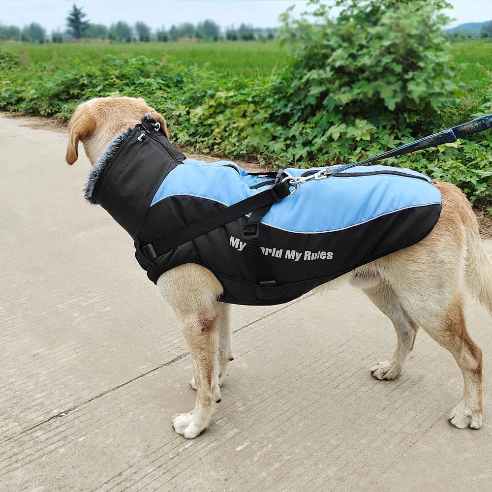 Warm Waterproof Dog Coat with Harness – WeatherLink™