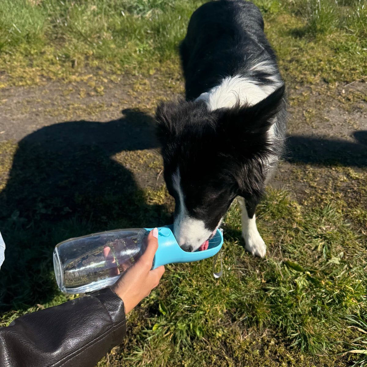 2-in-1 Portable Pet Water Bottle – FreshPlus™