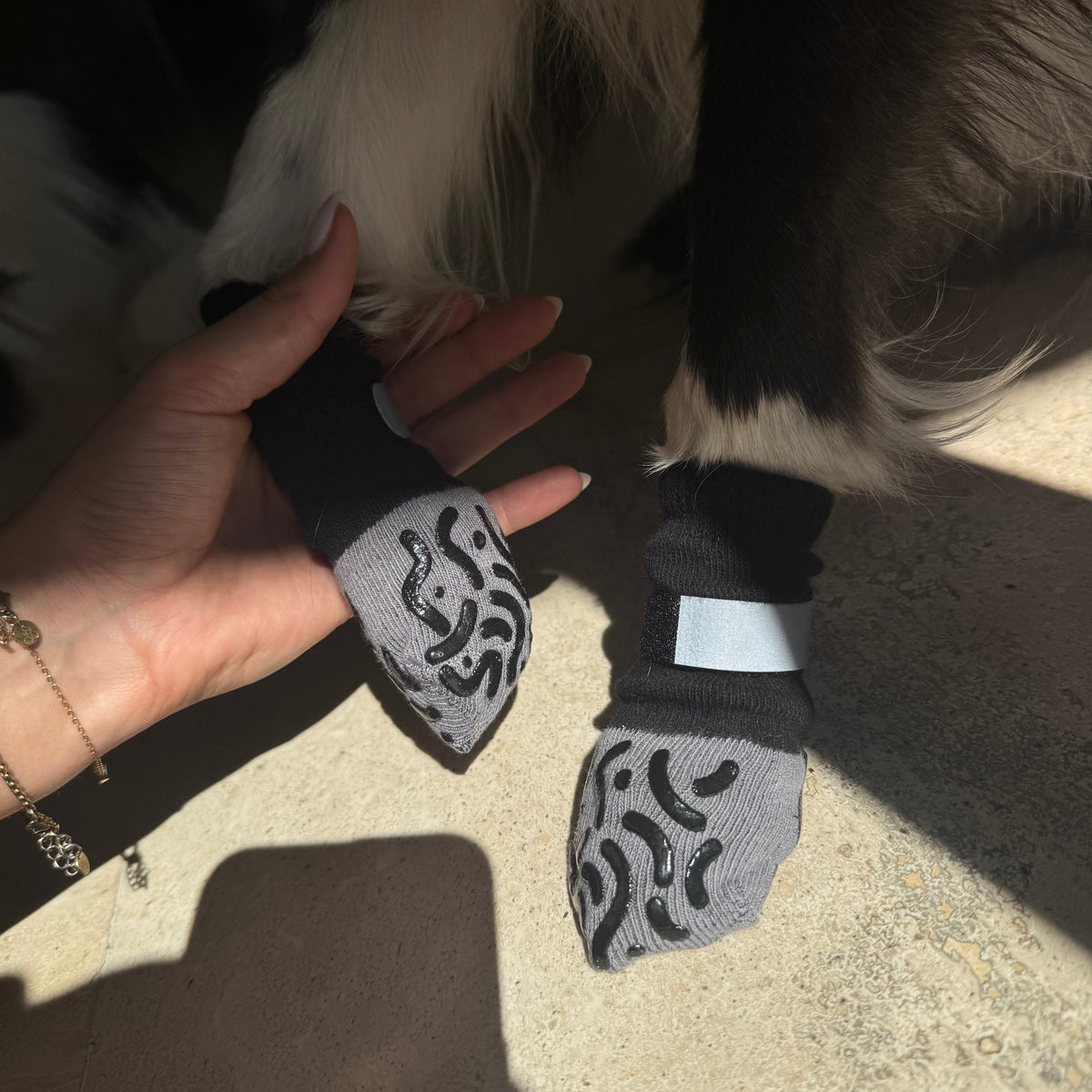 Non-Slip Dog Socks for Indoor Floors – WeatherEssentials™