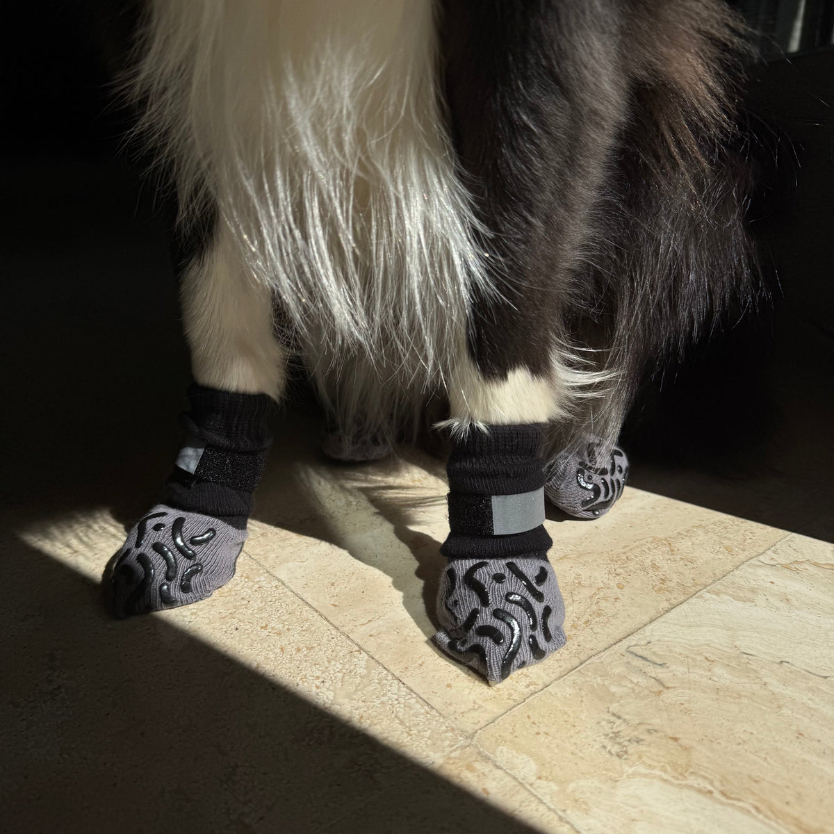 Non-Slip Dog Socks for Indoor Floors – WeatherEssentials™