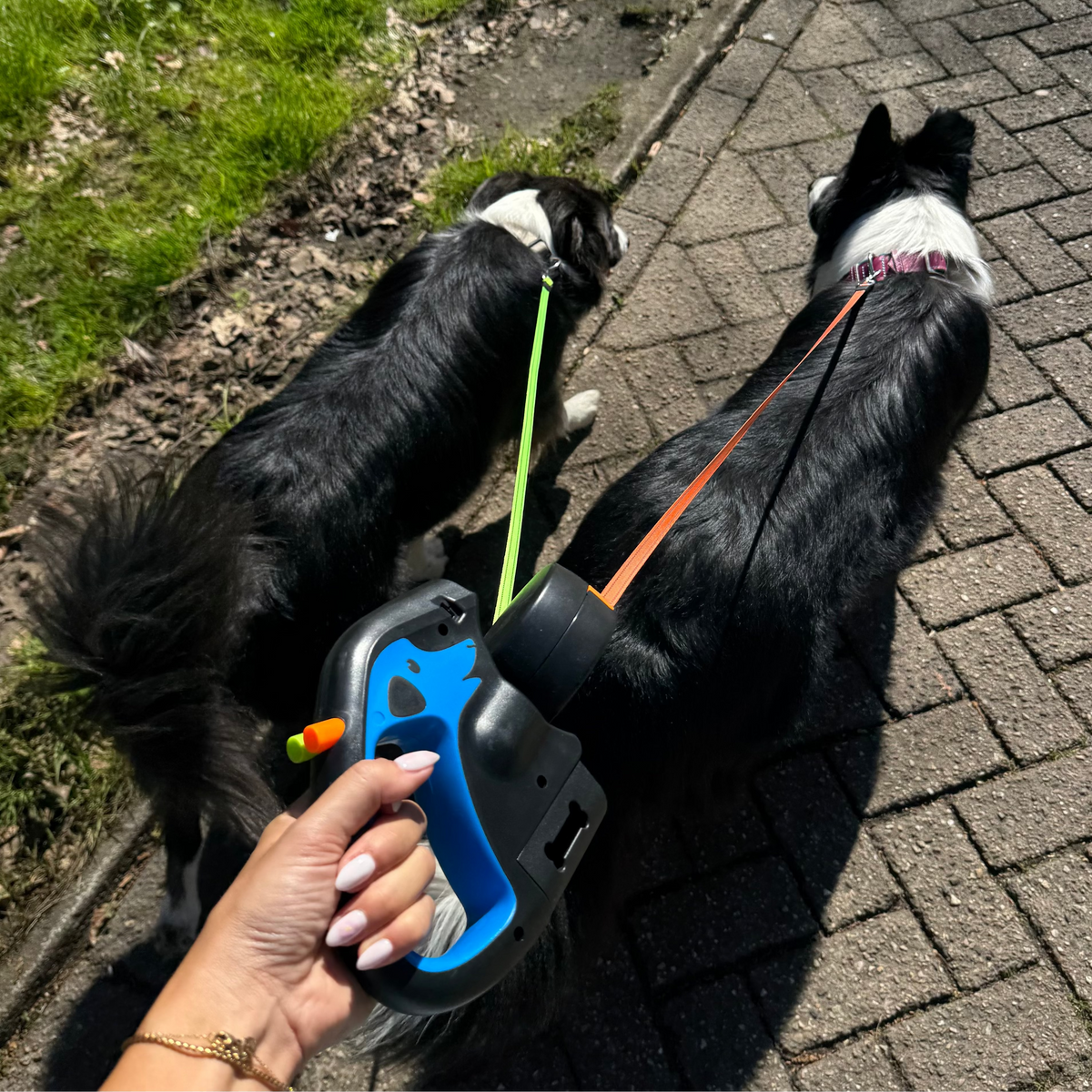 3-in-1 Dual Dog Leash with Flashlight – RouteLink™