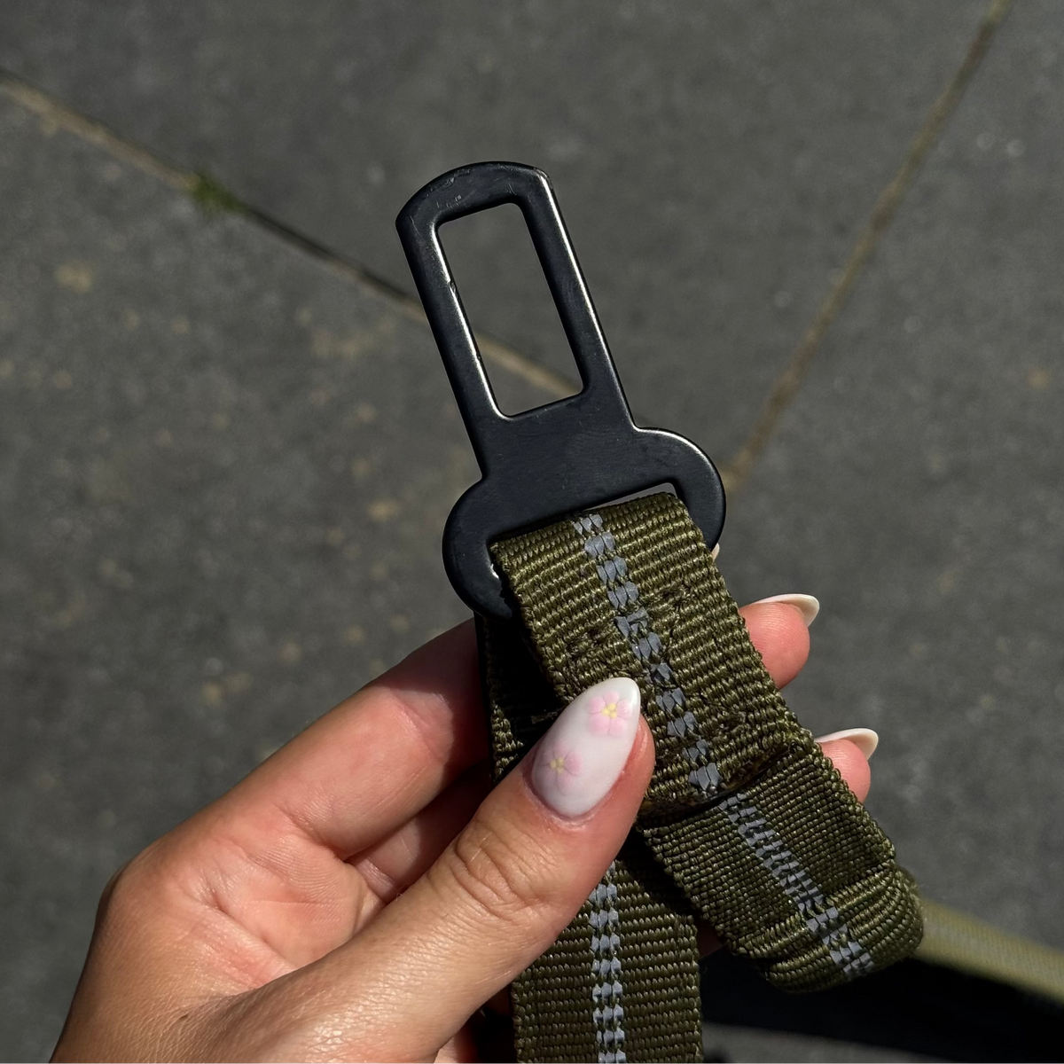 Reflective Bungee Dog Leash with Car Seat Belt Clip – CarPaws™