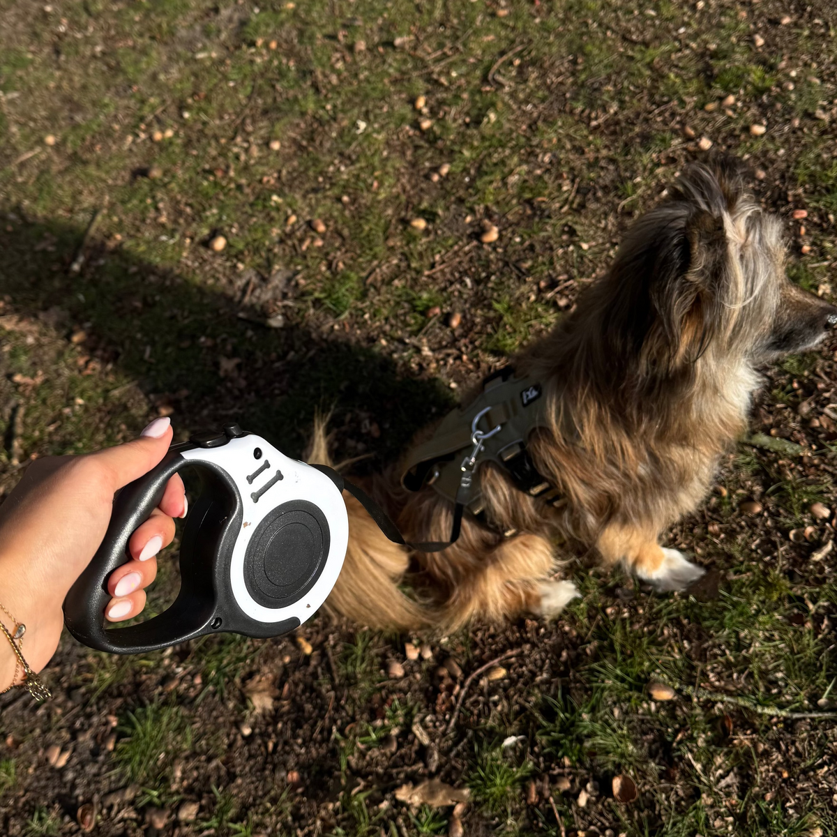 Automatic Retractable Dog Leash – TrailTouch™