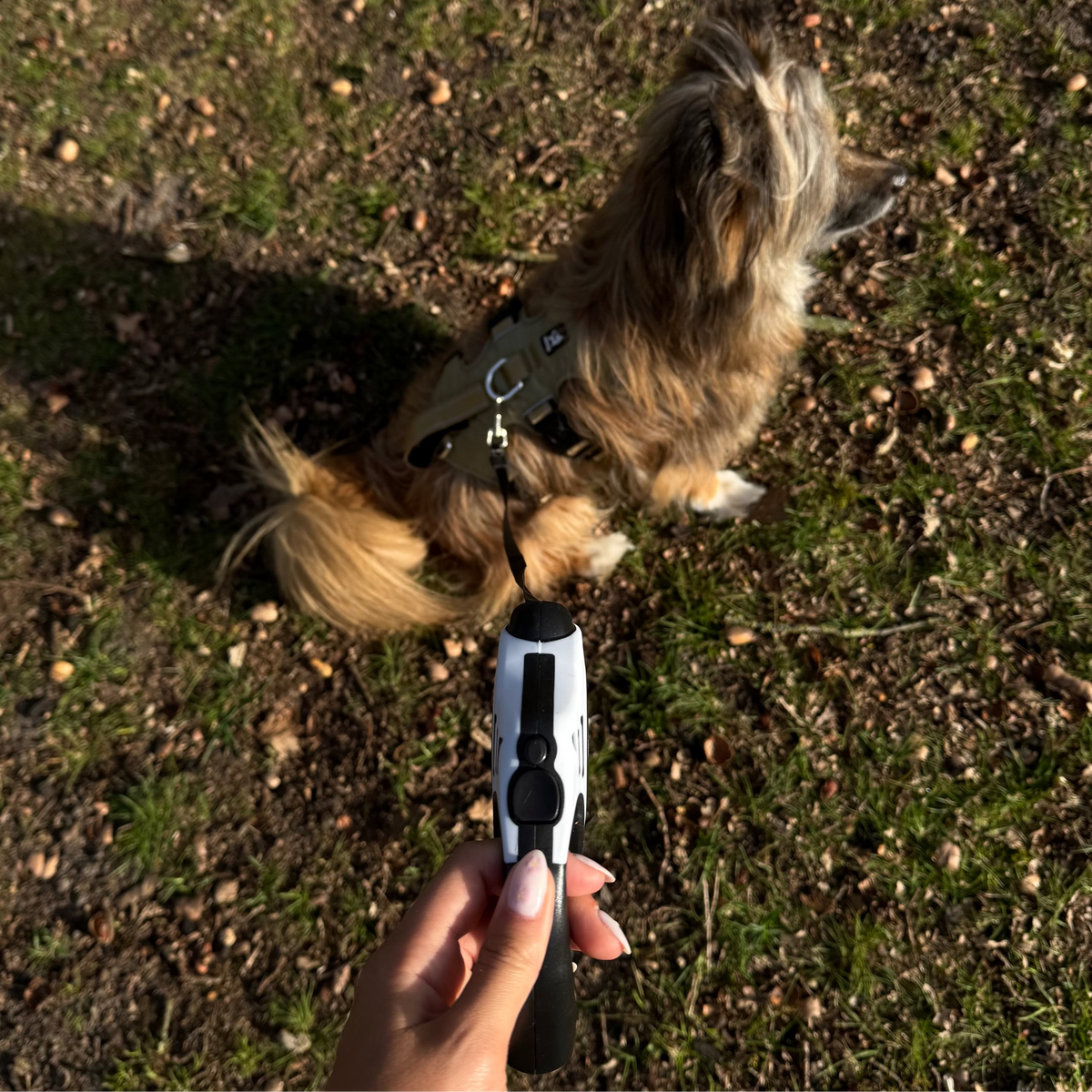 Automatic Retractable Dog Leash – TrailTouch™